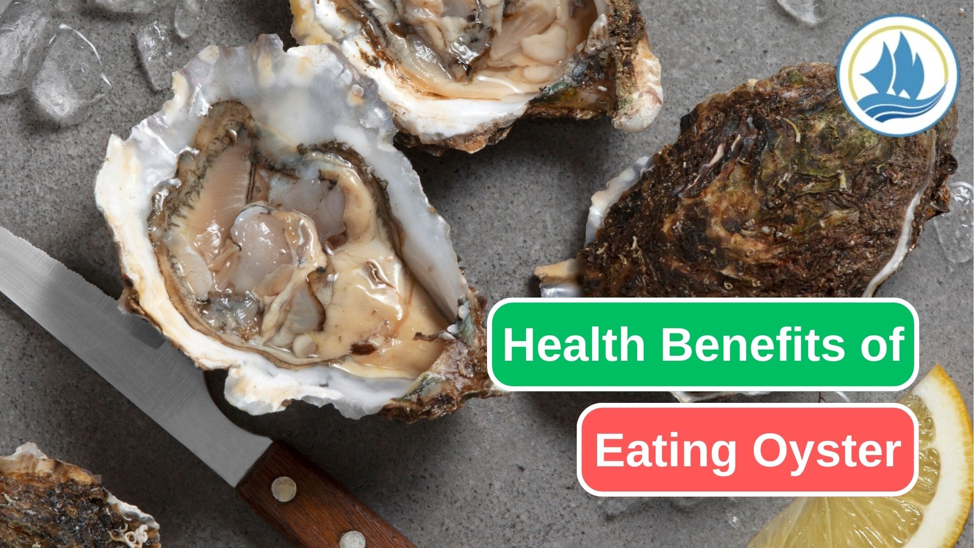 The 10 Best Benefits of Eating Oyster